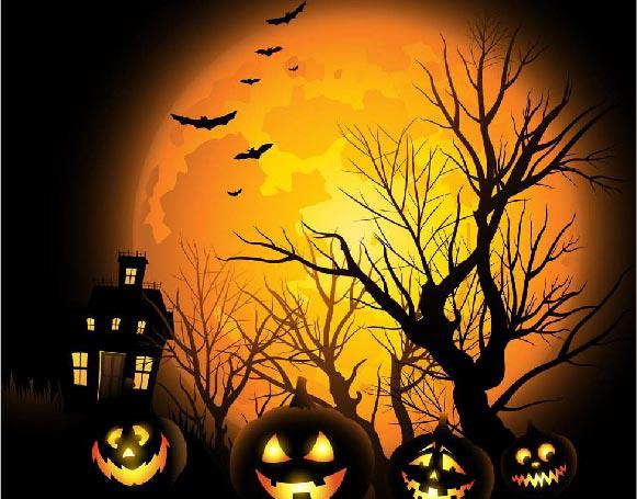 芝芝鸟艺术家园